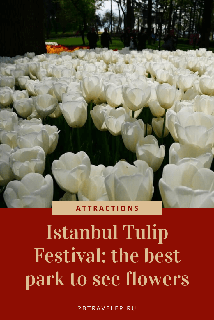 Tulip Festival (Istanbul) - 2023: photos and the best locations